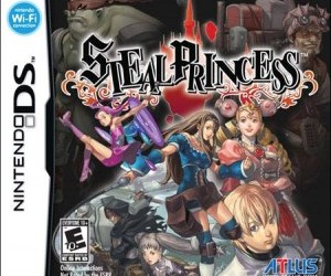 Steal The Princess DS US