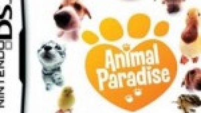 animal crossing wild world action replay codes